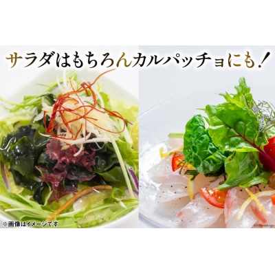 【TVで紹介】気仙沼 完熟牡蠣のドレッシング150ml×1個 / 石渡商店 [20563410]