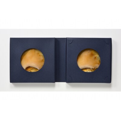 【TVで紹介】ふかひれステーキ1箱 石渡商店  20563354