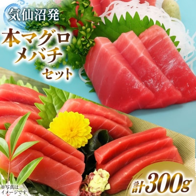 本マグロ・メバチセット 川印　村田漁業 20563739 ◎