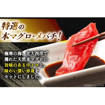 本マグロ・メバチセット 川印　村田漁業 20563739 ◎