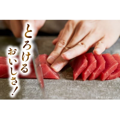 本マグロ・メバチセット 川印　村田漁業 20563739 ◎