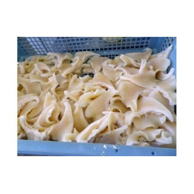 毛鹿鮫ふかひれ姿煮ギフトA　230g　桐箱入り [20560830]