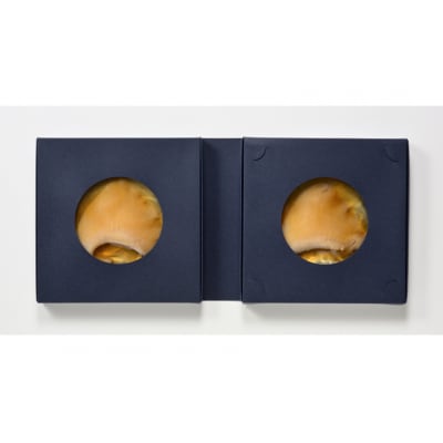 【TVで紹介】ふかひれステーキ3箱 石渡商店 宮城県 気仙沼市 20563459