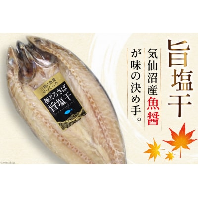 極とろさば開き干 干物3枚セット [カネダイ 宮城県 気仙沼市 20564354]