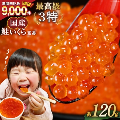 【TVで紹介!】最高級3特 国産 味付 いくら 宝壽 醤油漬 120g×1 20565080 ◎