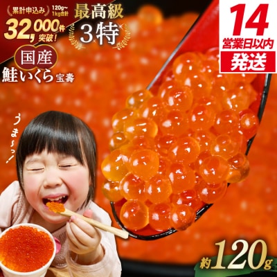【14日以内に発送】最高級3特 国産 味付 いくら 宝壽 醤油漬 120g×1 20565080