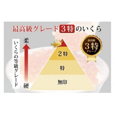 【TVで紹介!】最高級3特 国産 味付 いくら 宝壽 醤油漬 120g×1 20565080 ◎