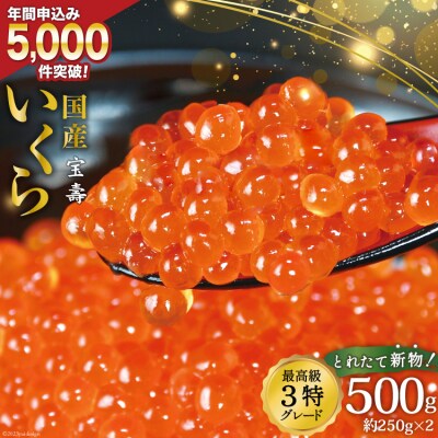 【TVで紹介!】★新物★国産 鮭卵 いくら 最高級3特 秋鮭 醤油漬 小分け 500g | ふるさと納税のお礼品