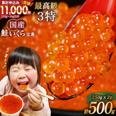 【TVで紹介!】最高級3特 国産 味付 いくら 宝壽 醤油漬 500g [20565083]