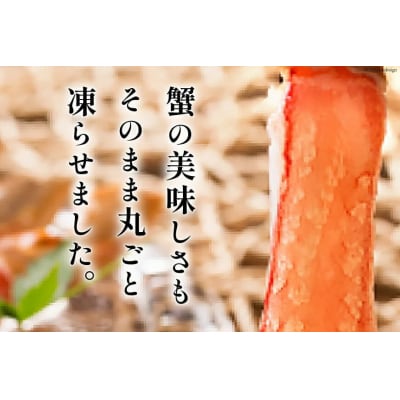 【25日決済分/年内発送】 かに 極太 本ずわいがに 棒肉ポーション 13～20本 20564334