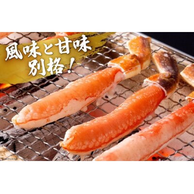かに 極太 生本ずわいがに 棒肉ポーション 約1kg 26本～40本入り [20564335]