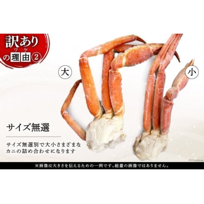 年内配送 かに 訳あり ボイル ずわいがに 肩付き脚 総重量1kg [20564325]