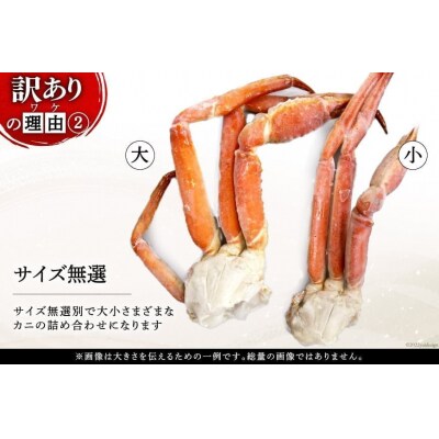 かに 訳あり ボイル ずわいがに 肩付き脚 総重量1kg [20564325]