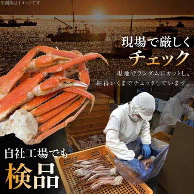 かに 訳あり ボイル ずわいがに 肩付き脚 総重量1kg [20564325]