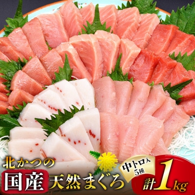 北かつのマグロ 中トロセット商事 [20563599]