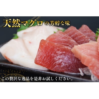北かつのマグロ 中トロセット商事 [20563599]