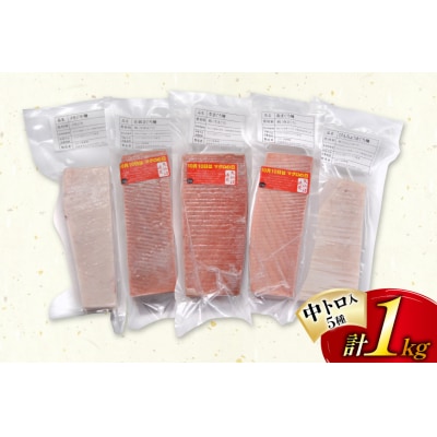 北かつのマグロ 中トロセット商事 20563599 ◎