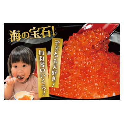 【さとふる限定寄附額】いくら 鱒卵 400g(200g×2p) 鱒いくら 20564994 小分け