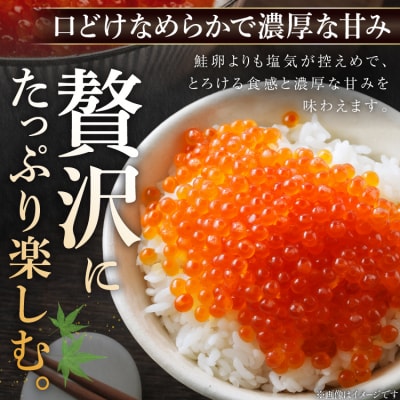 【さとふる限定寄附額】いくら 鱒卵 400g(200g×2p) 鱒いくら [20564994]小分け