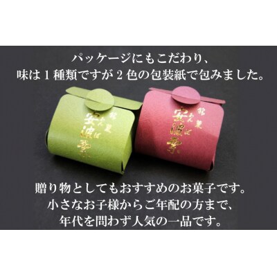 【お茶とよく合う】安波栗(和風マロンパイ)15個 菓匠 紅梅 [宮城県 気仙沼市 20563526]
