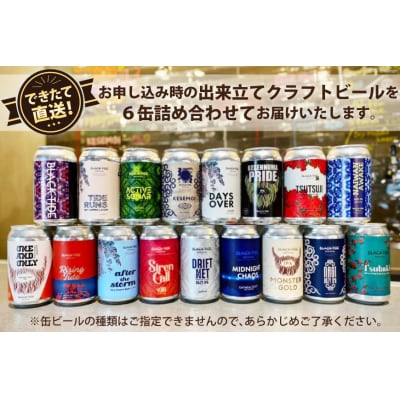 【できたて直送!】クラフトビール 6缶 セット [20565554]