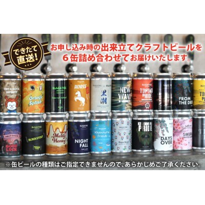 6回 定期便 BTB クラフトビール 6缶 セット【総計36缶】 [20565982]