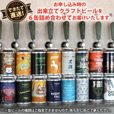 6回 定期便 BTB クラフトビール 6缶 セット【総計36缶】 [20565982]