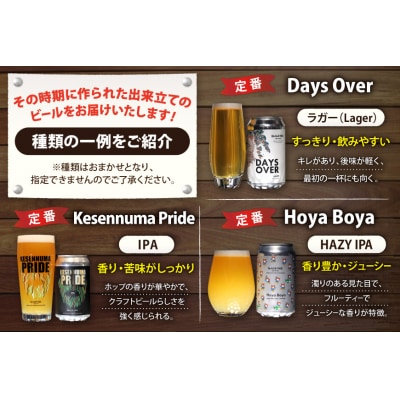 6回 定期便 BTB クラフトビール 6缶 セット【総計36缶】 20565982