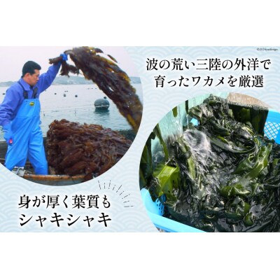 わかめの王様 三陸産 金のわかめ 200g [ムラカミ 宮城県 気仙沼市 20563538]