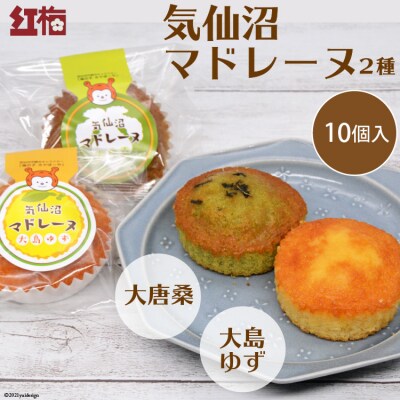 【和菓子職人が作る】気仙沼マドレーヌ 2種10個 菓匠 紅梅 [20563591]