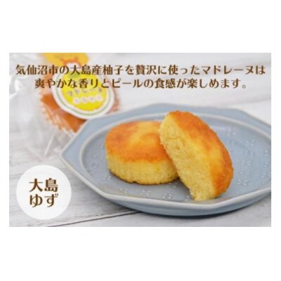 【和菓子職人が作る】気仙沼マドレーヌ 2種10個 菓匠 紅梅 [20563591]