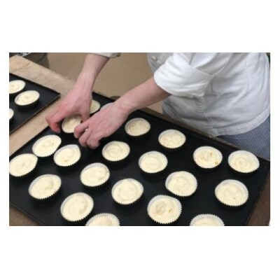 【和菓子職人が作る】気仙沼マドレーヌ 2種10個 菓匠 紅梅 [20563591]