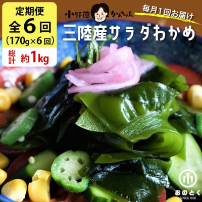 【2つの食感】6回 定期便  三陸産 サラダわかめ 170g ×6 計約1kg 20565589