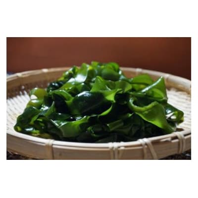 【2つの食感】6回 定期便  三陸産 サラダわかめ 170g ×6 計約1kg 20565589