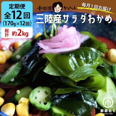 【2つの食感】12回 定期便 三陸産 サラダわかめ 170g ×12 計約2kg[20565590]