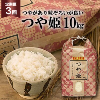 3回 定期 米 宮城県産 つや姫 10kg 計30kg 20564926