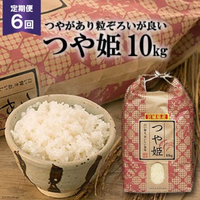 6回 定期 米 宮城県産 つや姫 10kg 計60kg 20564927