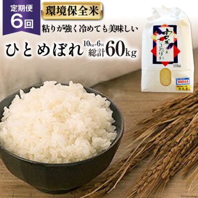 6回 定期 米 宮城県産 ひとめぼれ 環境保全米 10kg 計60kg 20564936
