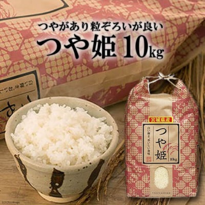 米 宮城県産 つや姫 10kg 20564925