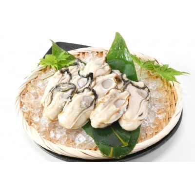【期間限定発送】ヤマヨ水産の牡蠣 生食用 むき身 500g 《1月前半～出荷》 20565827