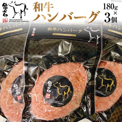 和牛ハンバーグ 3個 セット 180g ×3個 [20565240]