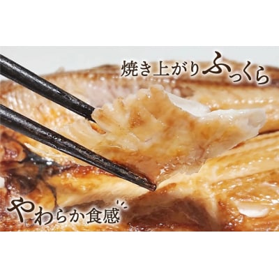 訳あり 干物 5種 5p [気仙沼市物産振興協会 宮城県 気仙沼市 20565738]