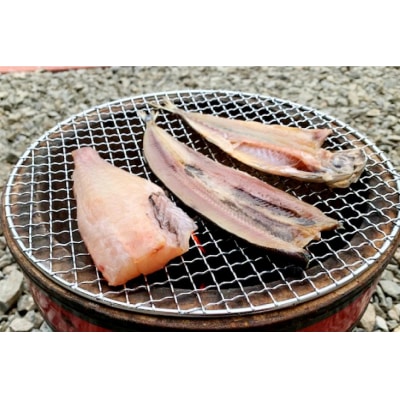 訳あり 干物 5種 5p [気仙沼市物産振興協会 宮城県 気仙沼市 20565738]