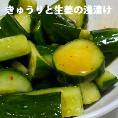 気仙沼 万能 浅漬けの素 うま造り 500ml×2本 調味料 醤油 [石渡商店 20563674]