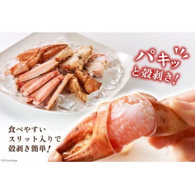 まるずわい むき身とスープのセット 肩脚肉500g ビスク180g×3 [20564338]