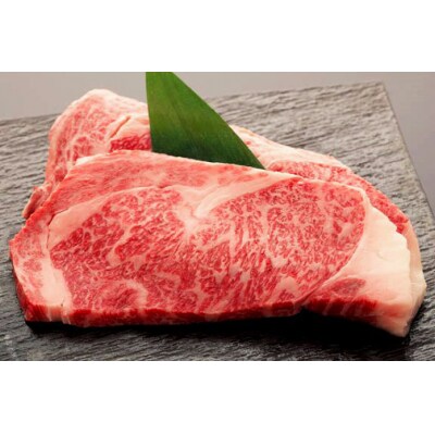 肉 ステーキ 仙台牛サーロインステーキ計1.2kg [20565271]