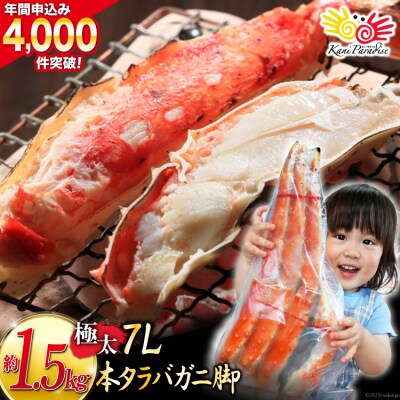本 タラバガニ 脚 ボイル済 約1.5kg 極太7Lサイズ / カネダイ [20562040] | ふるさと納税のお礼品