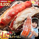 本 タラバガニ 脚 ボイル済 約1.5kg 極太7Lサイズ 20564326 