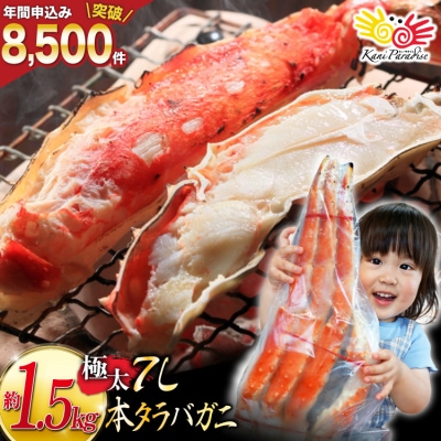 かに 本 タラバガニ 脚 ボイル済 約1.5kg 極太7Lサイズ 20564326