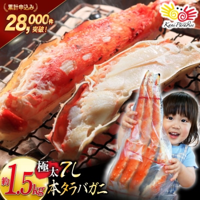 かに 本 タラバガニ 脚 ボイル済 約1.5kg 極太7Lサイズ [20564326]